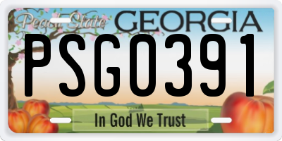 GA license plate PSG0391