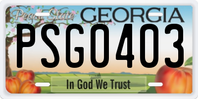GA license plate PSG0403