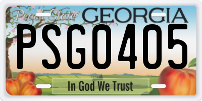 GA license plate PSG0405