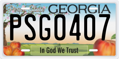 GA license plate PSG0407