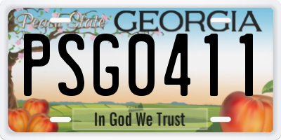 GA license plate PSG0411
