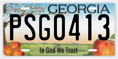 GA license plate PSG0413
