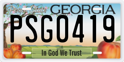 GA license plate PSG0419