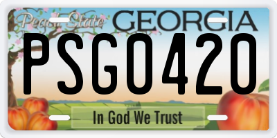 GA license plate PSG0420