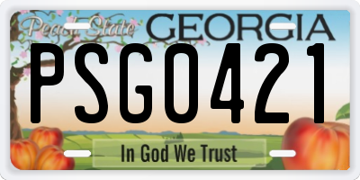 GA license plate PSG0421