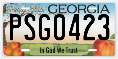 GA license plate PSG0423