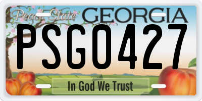 GA license plate PSG0427