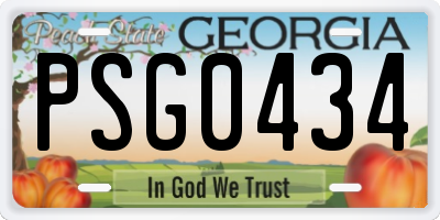 GA license plate PSG0434