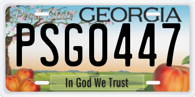 GA license plate PSG0447