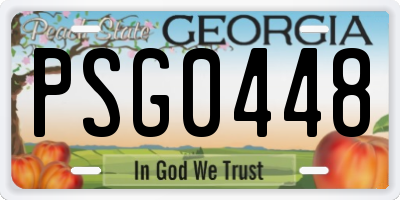 GA license plate PSG0448