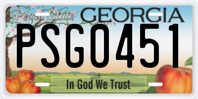 GA license plate PSG0451