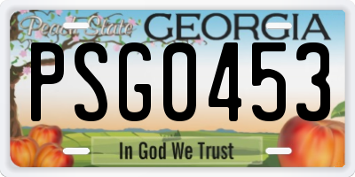 GA license plate PSG0453