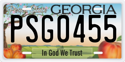 GA license plate PSG0455
