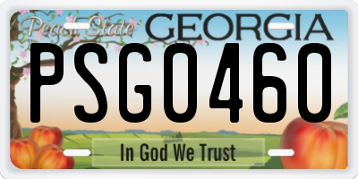 GA license plate PSG0460