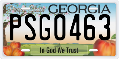 GA license plate PSG0463
