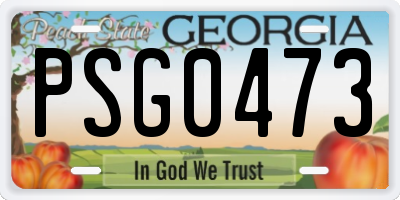 GA license plate PSG0473
