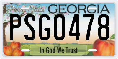 GA license plate PSG0478