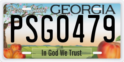 GA license plate PSG0479