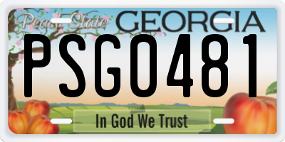 GA license plate PSG0481
