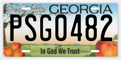 GA license plate PSG0482