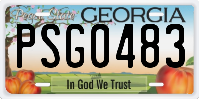 GA license plate PSG0483