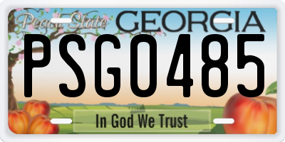 GA license plate PSG0485