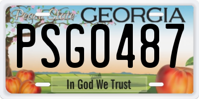 GA license plate PSG0487