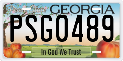 GA license plate PSG0489