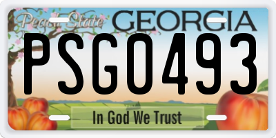 GA license plate PSG0493