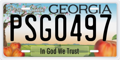 GA license plate PSG0497