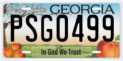 GA license plate PSG0499