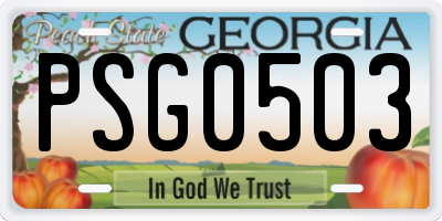 GA license plate PSG0503