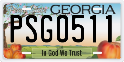 GA license plate PSG0511