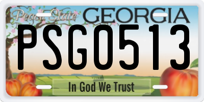 GA license plate PSG0513
