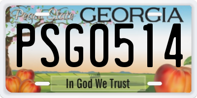 GA license plate PSG0514