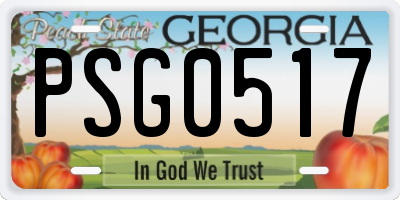 GA license plate PSG0517