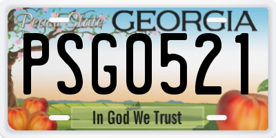 GA license plate PSG0521