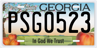 GA license plate PSG0523