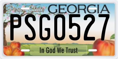 GA license plate PSG0527
