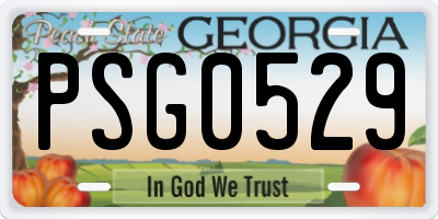 GA license plate PSG0529