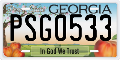 GA license plate PSG0533