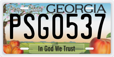 GA license plate PSG0537