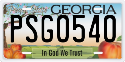 GA license plate PSG0540