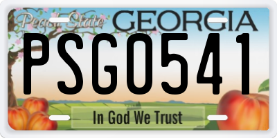 GA license plate PSG0541