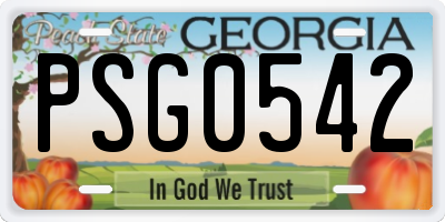 GA license plate PSG0542