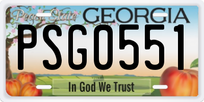 GA license plate PSG0551