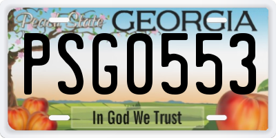 GA license plate PSG0553