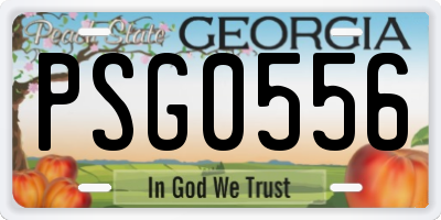 GA license plate PSG0556