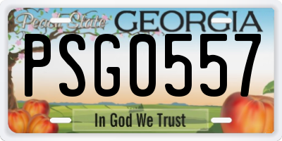 GA license plate PSG0557