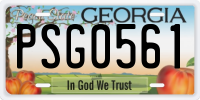 GA license plate PSG0561